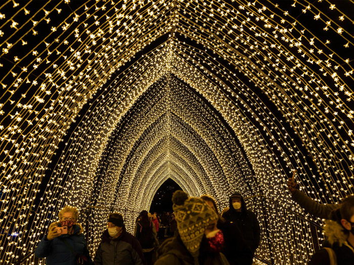 Visit the lights at the Brooklyn Botanic Garden