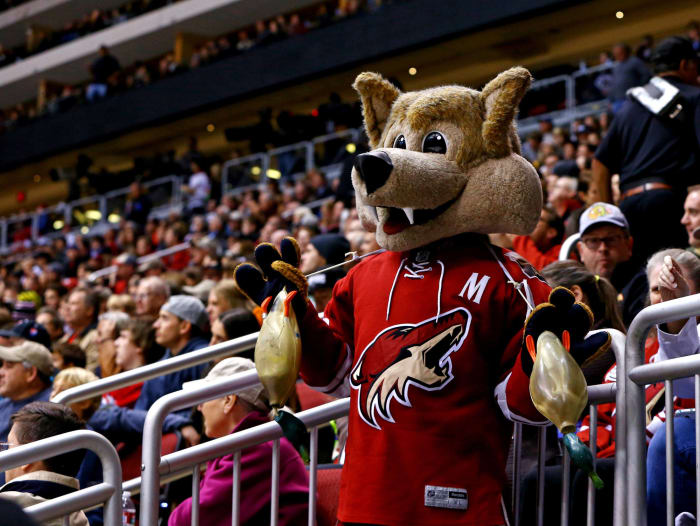 457 Diamondbacks Mascot Stock Photos, High-Res Pictures, and Images - Getty  Images