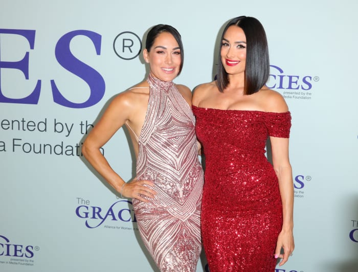 Nikki and Brie Bella