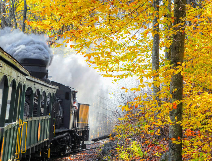 Cass Scenic Railroad
