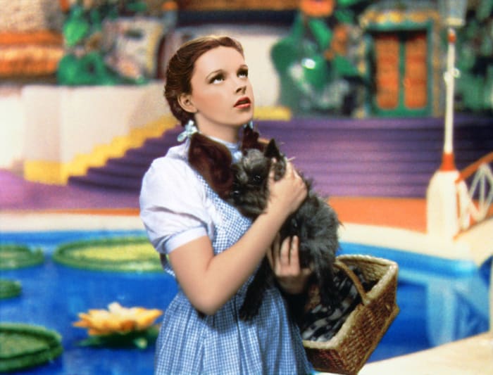 Toto, ‘The Wizard of Oz’