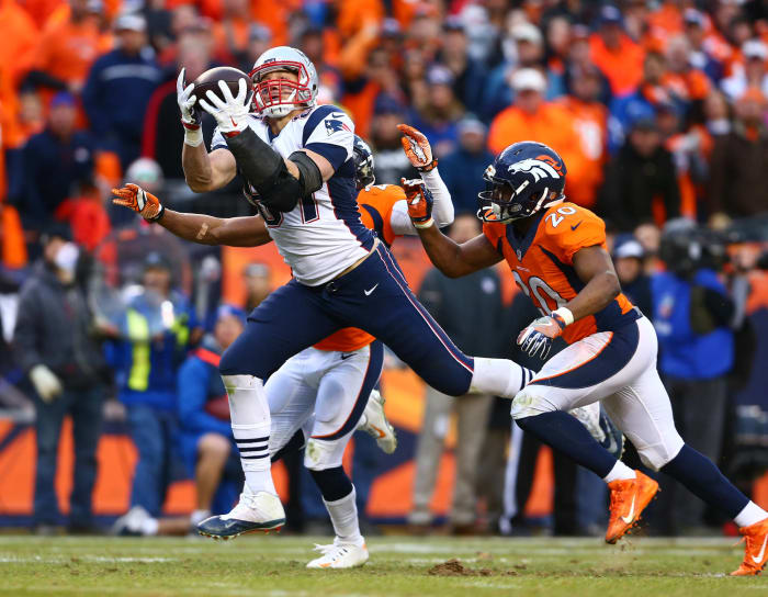 2015 New England Patriots