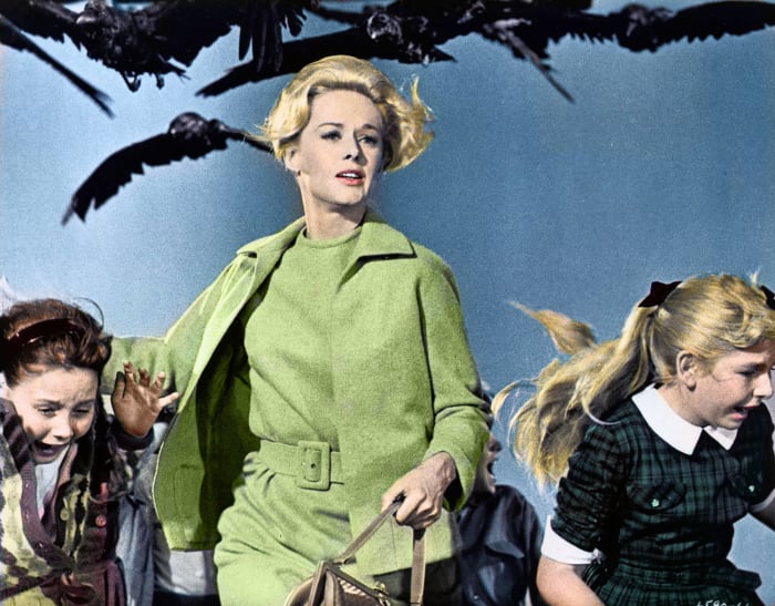 'The Birds' (1963)