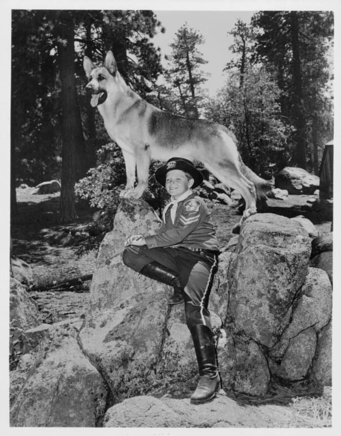 Rin Tin Tin