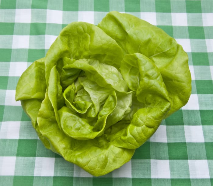 Bibb lettuce