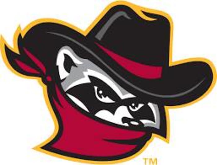 Quad Cities River Bandits (1992-2003; 2008-present))