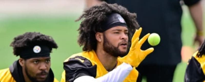 Steelers Waive Promising Safety after Injury