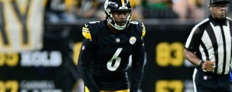 Browns Work Out former Steelers Punter