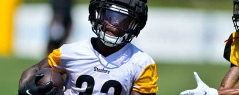 Steelers Promote Harvard Graduate RB to Active Roster