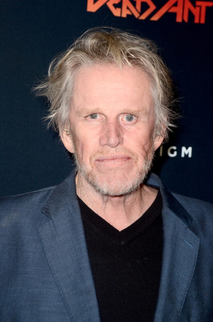 Gary Busey