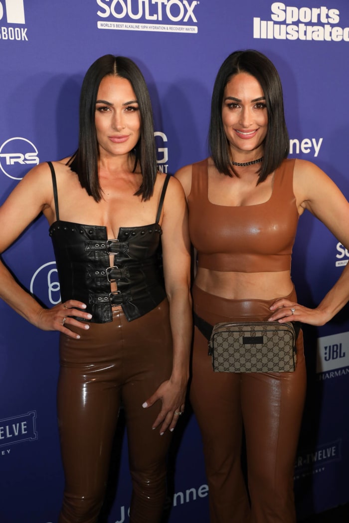 Nikki and Brie Bella