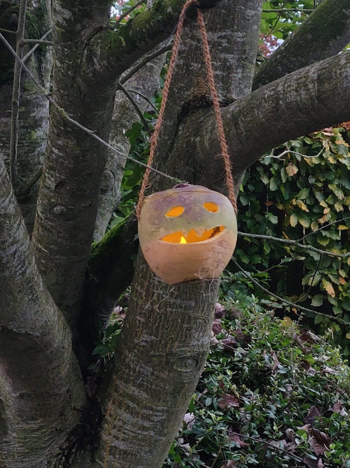 Carved turnips