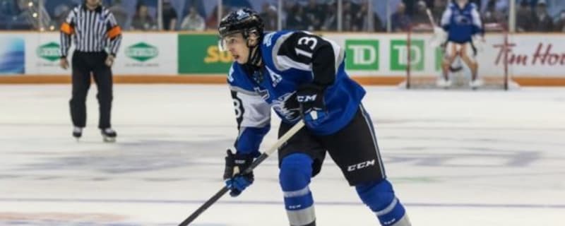 Maple Leafs’ William Villeneuve Brings Two-Way Upside to AHL Marlies