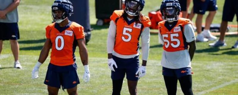 Denver Broncos news: Austin Ajiake signed after Jonas Griffith injury