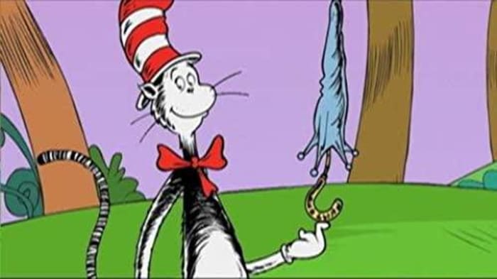 'The Cat in the Hat Knows a Lot About That'