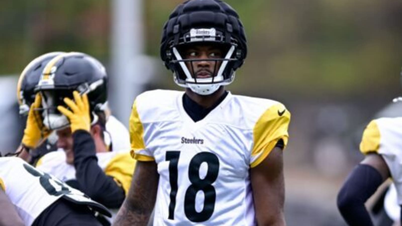 Mike Williams Reflects on Steelers Fans Recruiting Him to Pittsburgh