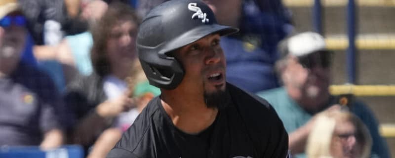 White Sox Outright Rafael Ortega