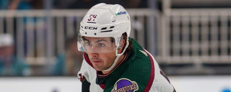 Edmonton Oilers sign Cam Dineen to two-year extension