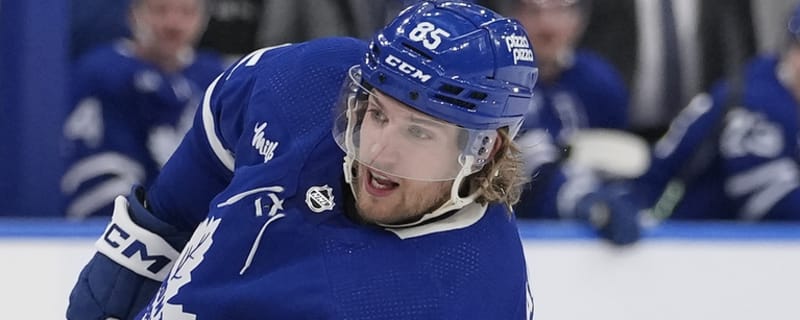 Detroit Red Wings Continue Their Additions