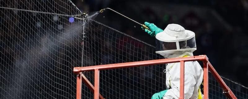 Matt Hilton Details Removing Bees From Chase Field To Prevent Dodgers-Diamondbacks Game From Being Postponed