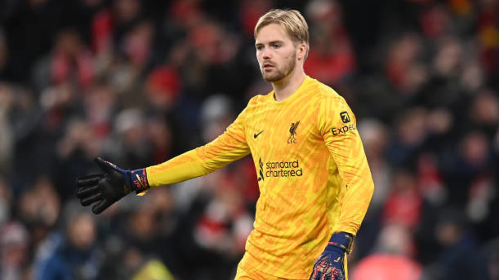 Danny Murphy claims Liverpool star could soon join Newcastle United