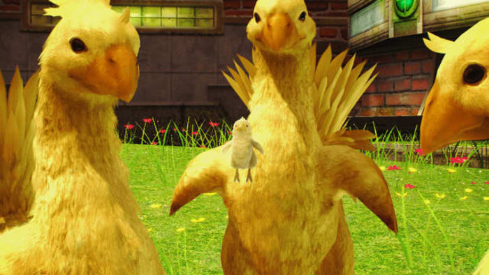 Chocobo