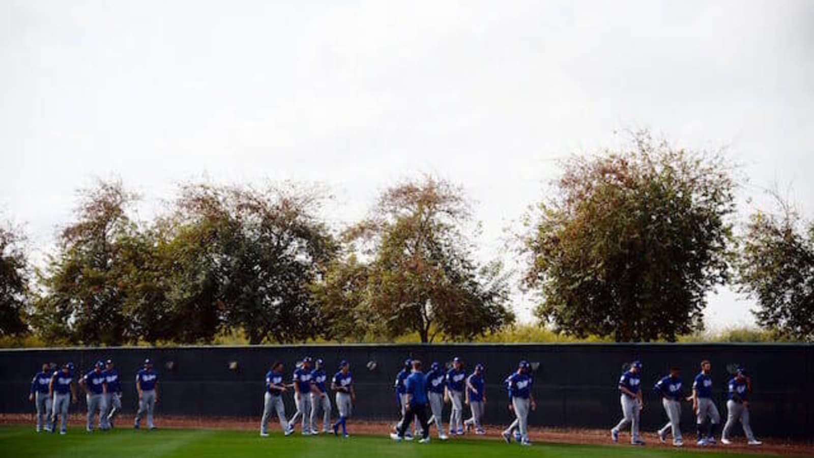 2023 Los Angeles Dodgers Spring Training Non-Roster Invitees