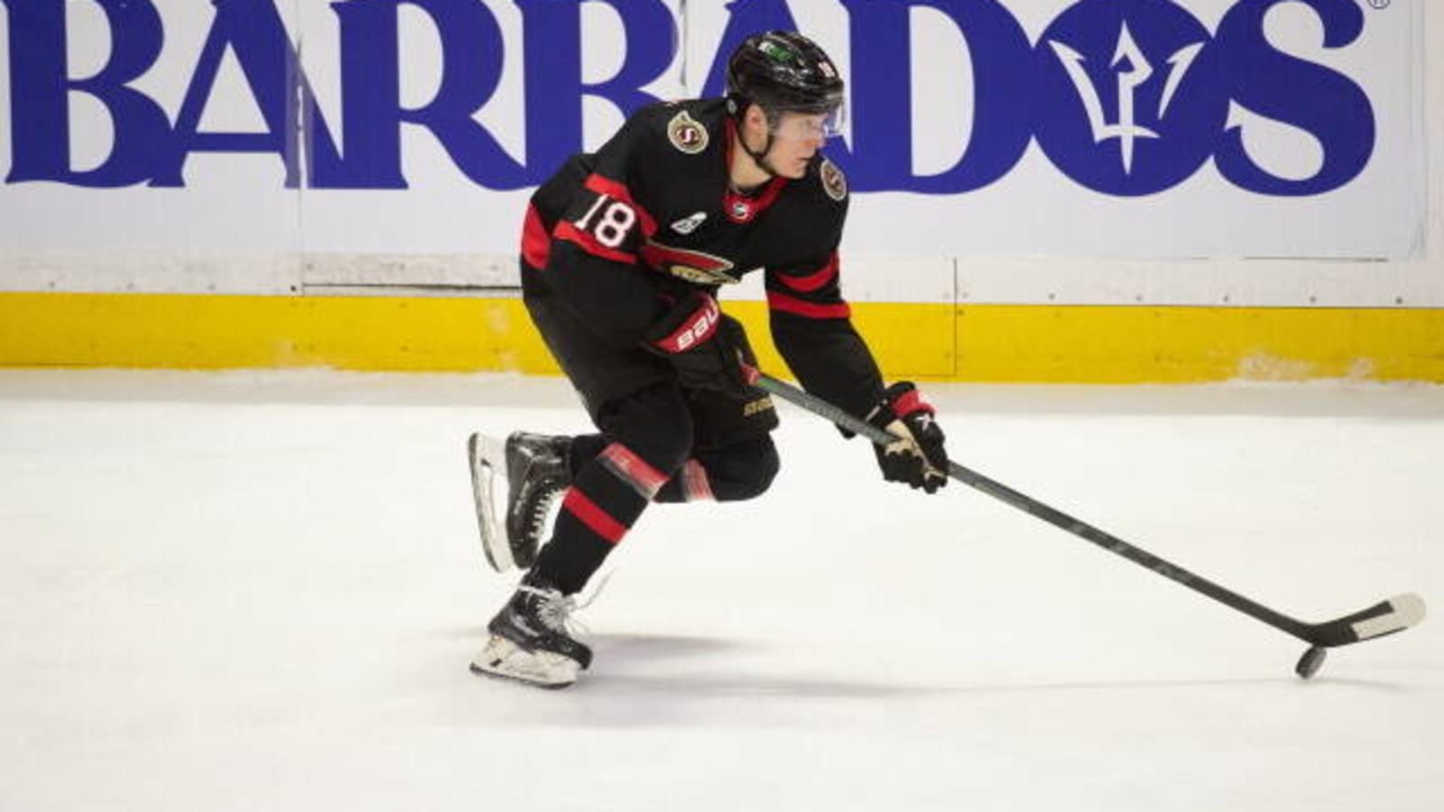 NHL News The Ottawa Senators extend Tim Stutzle for Eight Years