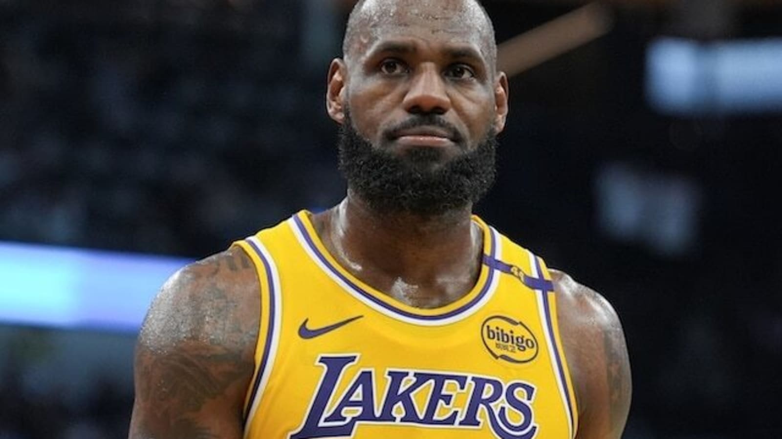  LeBron James Was Emmanuelle Chriqui’s Favorite ‘Entourage’ Cameo