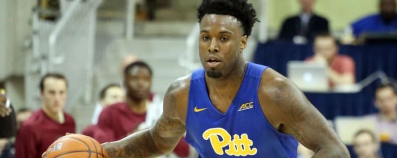 Zoo Crew Rallies Around Injured Star