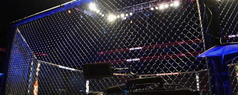 UFC parts ways with vicious finisher after shock retirement