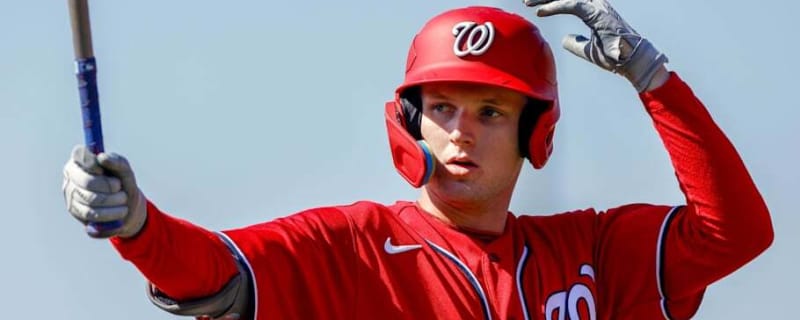 Washington Nationals Protect Two Intriguing Prospects From Rule 5 Draft