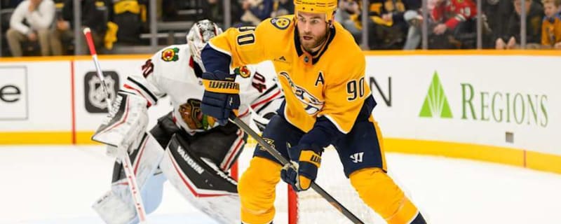 Predators Exploring All Options on Veteran Center