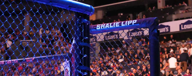 Ex-UFC champ Fabricio Werdum calls off MMA return; Brain health isn’t the reason