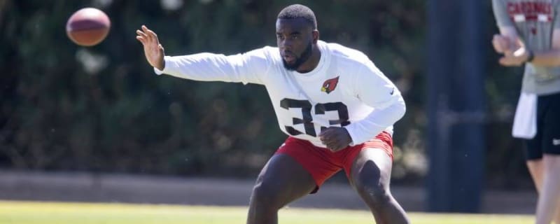 Cardinals Have &#39;Sleeper&#39; in Rookie RB