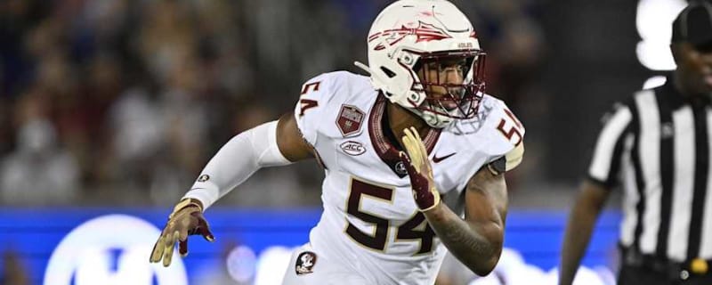 Florida State Veteran Defensive End Entering NCAA Transfer Portal