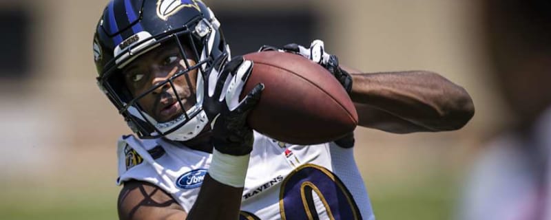 Bears Sign Two Former Ravens
