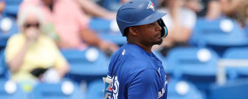 Toronto Blue Jays Top Prospect Leaves Monday Game with Injury After Being Hit By Ex-Jay