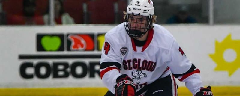 Michigan State Adds Transfer D, St. Louis Blues Prospect
