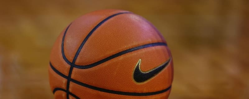 Former Michigan basketball player earns professional contract