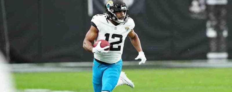  Bears Sign Former Jaguars WR
