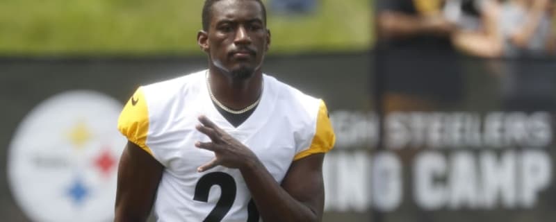 Bengals Sign Former Steelers WR