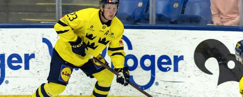 Blues Top Prospect Joins AHL Team