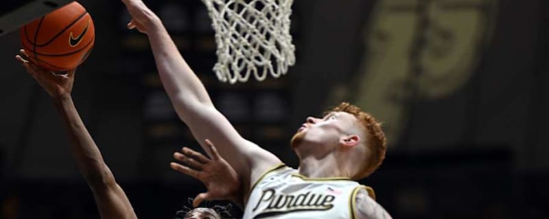 Matt Painter Provides Injury Update on Purdue Center Will Berg