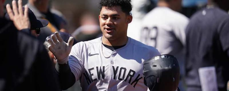 What Will the Yankees Do With Jasson Dominguez?