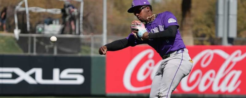 Colorado Rockies Option Top Prospects Catcher Drew Romo, Infielder Adael Amador