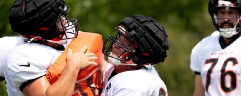  Cincinnati Bengals Rookie Matt Lee Posts Elite Preseason Numbers, Earns Praise From PFF