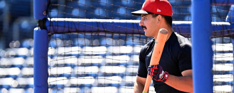 Mickey Gasper OK after injury scare, makes Twins&#39; Opening Day roster