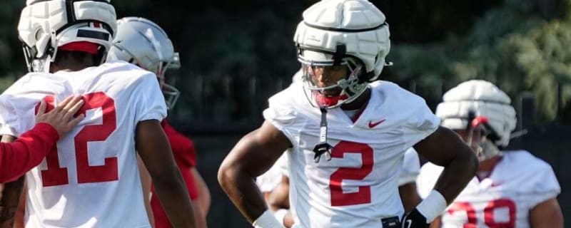 Ohio State Buckeyes Stars Land New NIL Commercial Gig