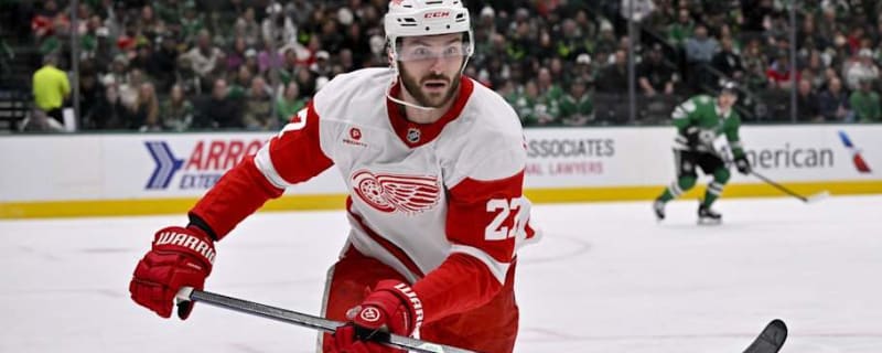 Red Wings Forward Injured After Questionable Hit From Ducks Center